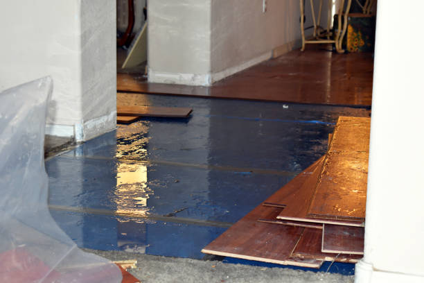 Professional Water Damage Restoration technician working in Gilman, IL